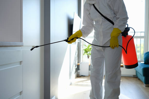 Professional Mold Removal in Van Horn, TX