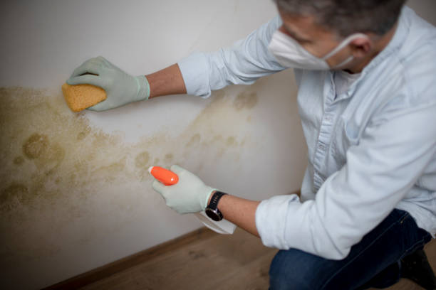 Best Water Damage Restoration  in Van Horn, TX