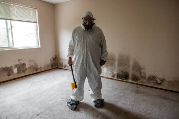 Office Mold Removal Services in Van Horn, TX