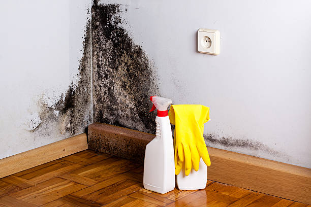 Water Damage Restoration in Van Horn, TX